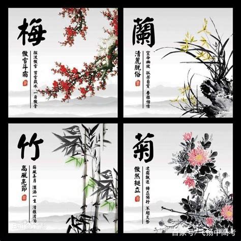 梅蘭竹菊春夏秋冬|花卉四君子——「梅蘭竹菊」，它們各自的意義你了解嗎？